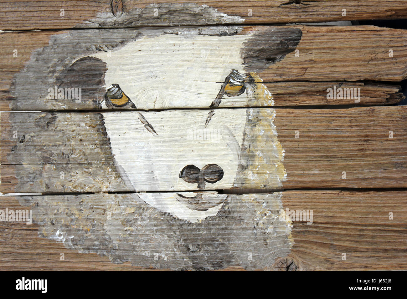 Sheep Portrait Stock Photo