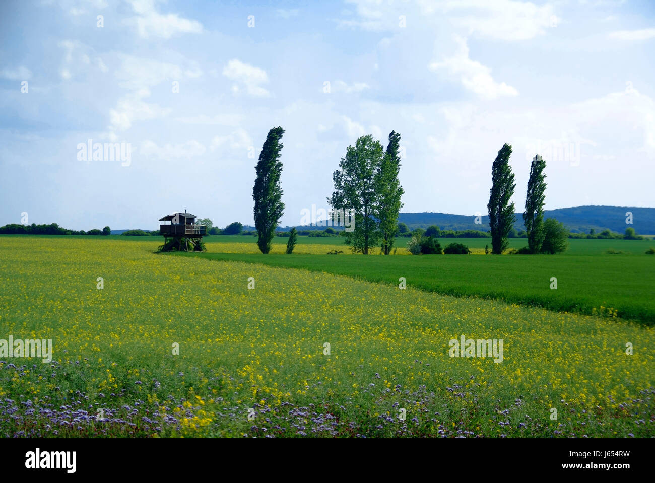 austrians freedom liberty border agreement hungary watching observe watch plant Stock Photo