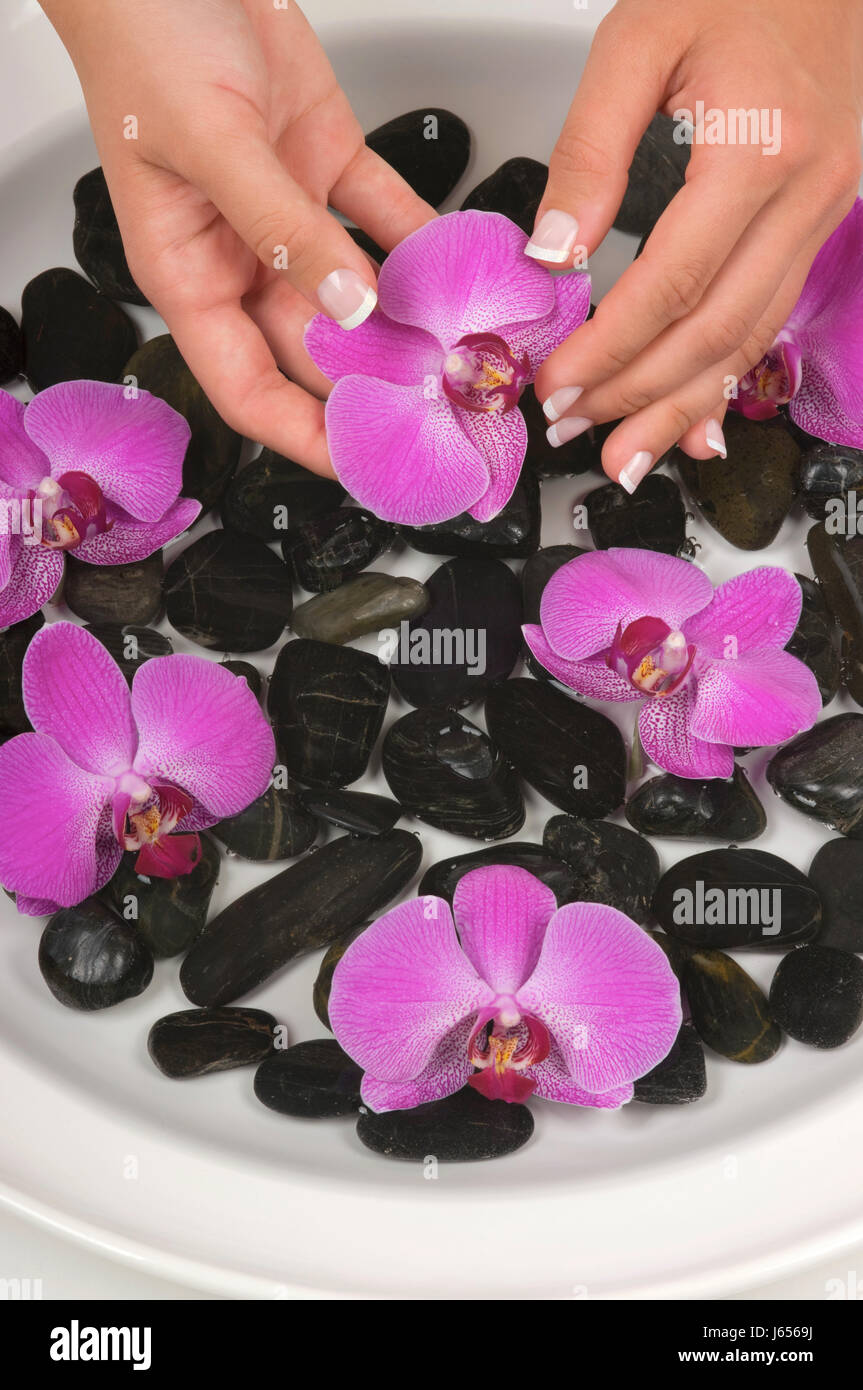hand treatment manicure pebble bathing resort spa mineral spring flower orchid Stock Photo