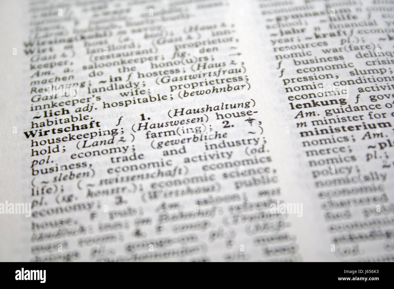 Reference Book Dictionary Notions Lexicon Reference Book Text