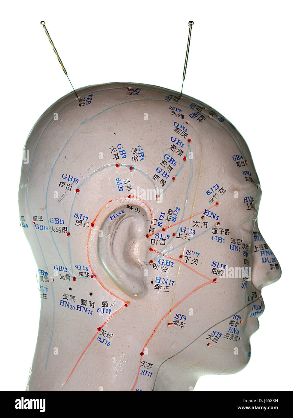 acupuncture head model with acupuncture needle Stock Photo Alamy