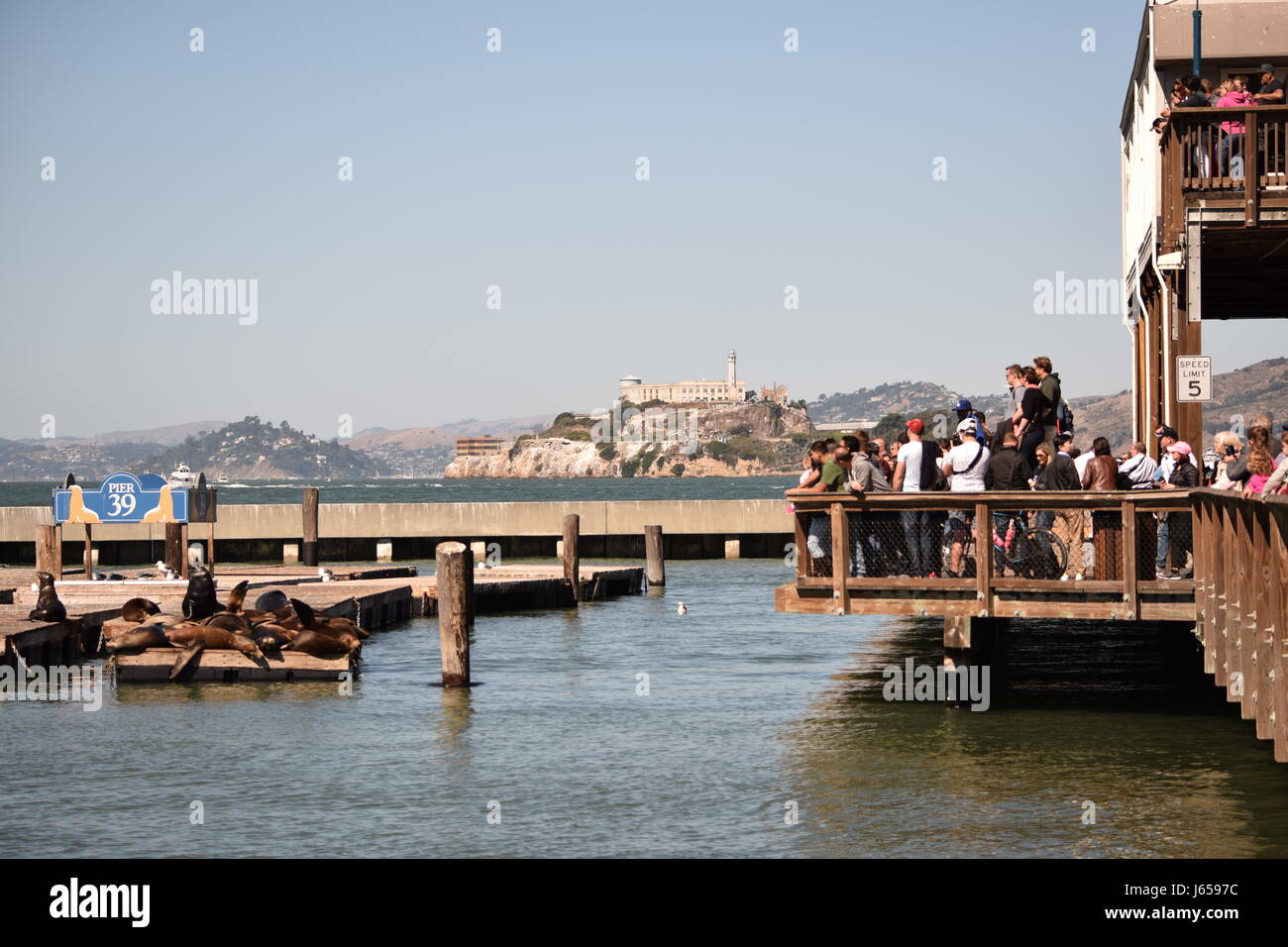 Tourists taking pictures of seals at Pier 39, San Francisco Stock Photo