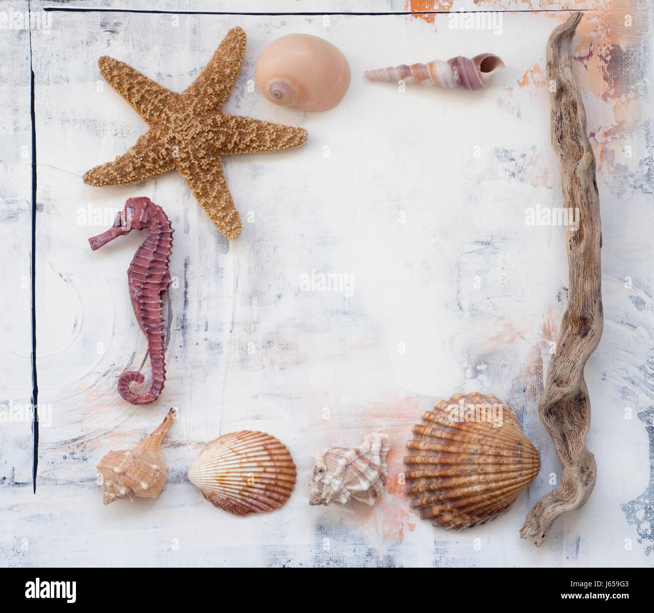 Decoration with starfish and driftwood hi-res stock photography and images  - Alamy