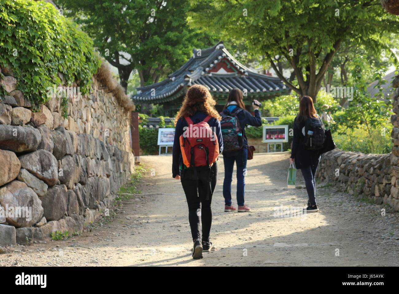 Village in the east side of Boseong in the south of South Korea. Flowers and traditions of the peninsula are displayed vividly there Stock Photo