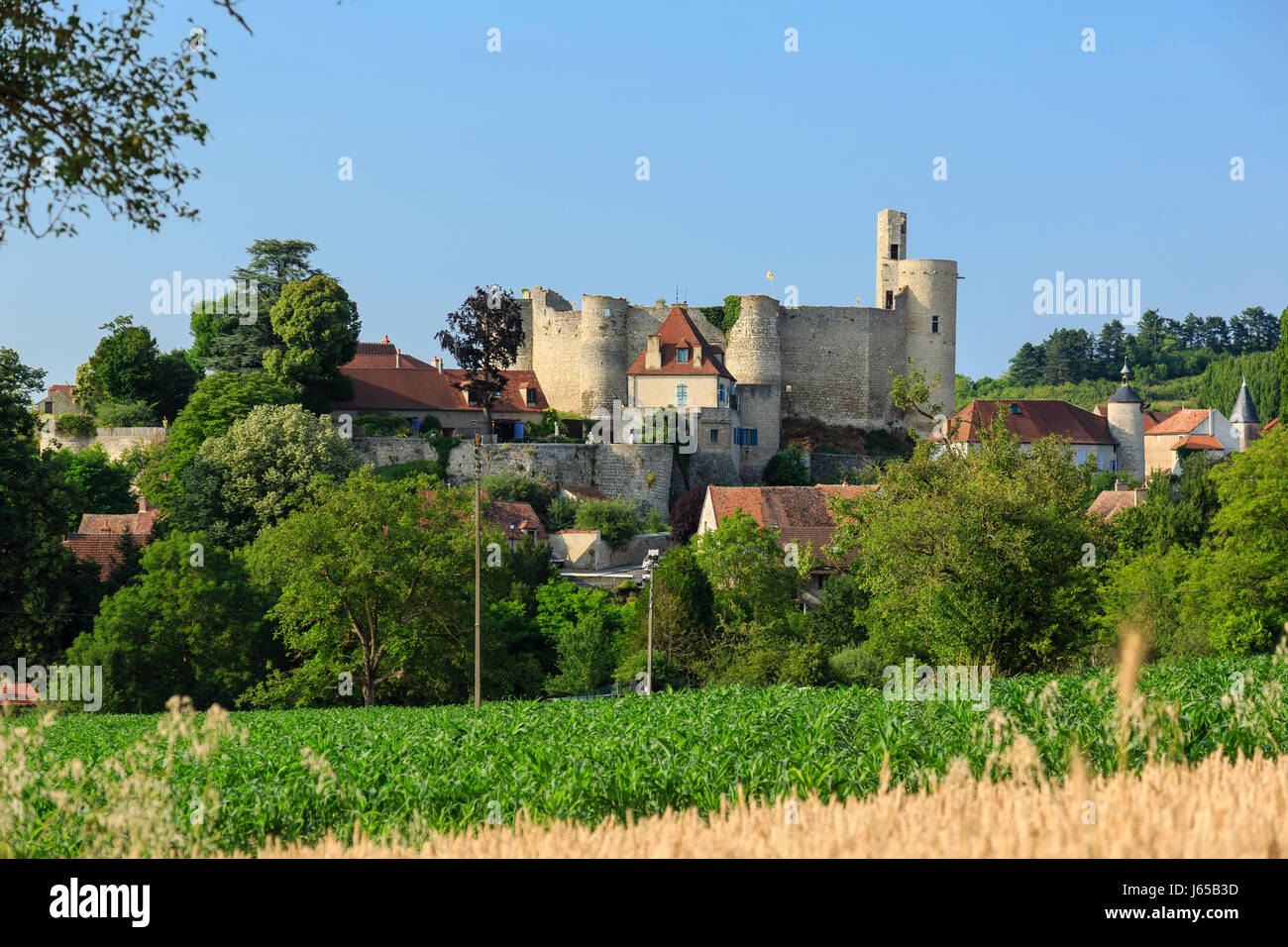 France, Allier, Billy, the castle and the village Stock Photo Alamy