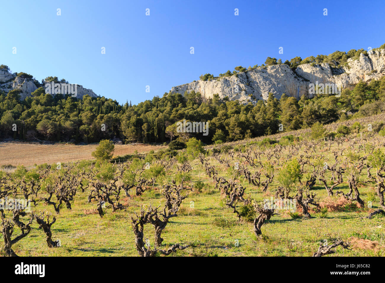 Corbieres aoc hires stock photography and images Alamy