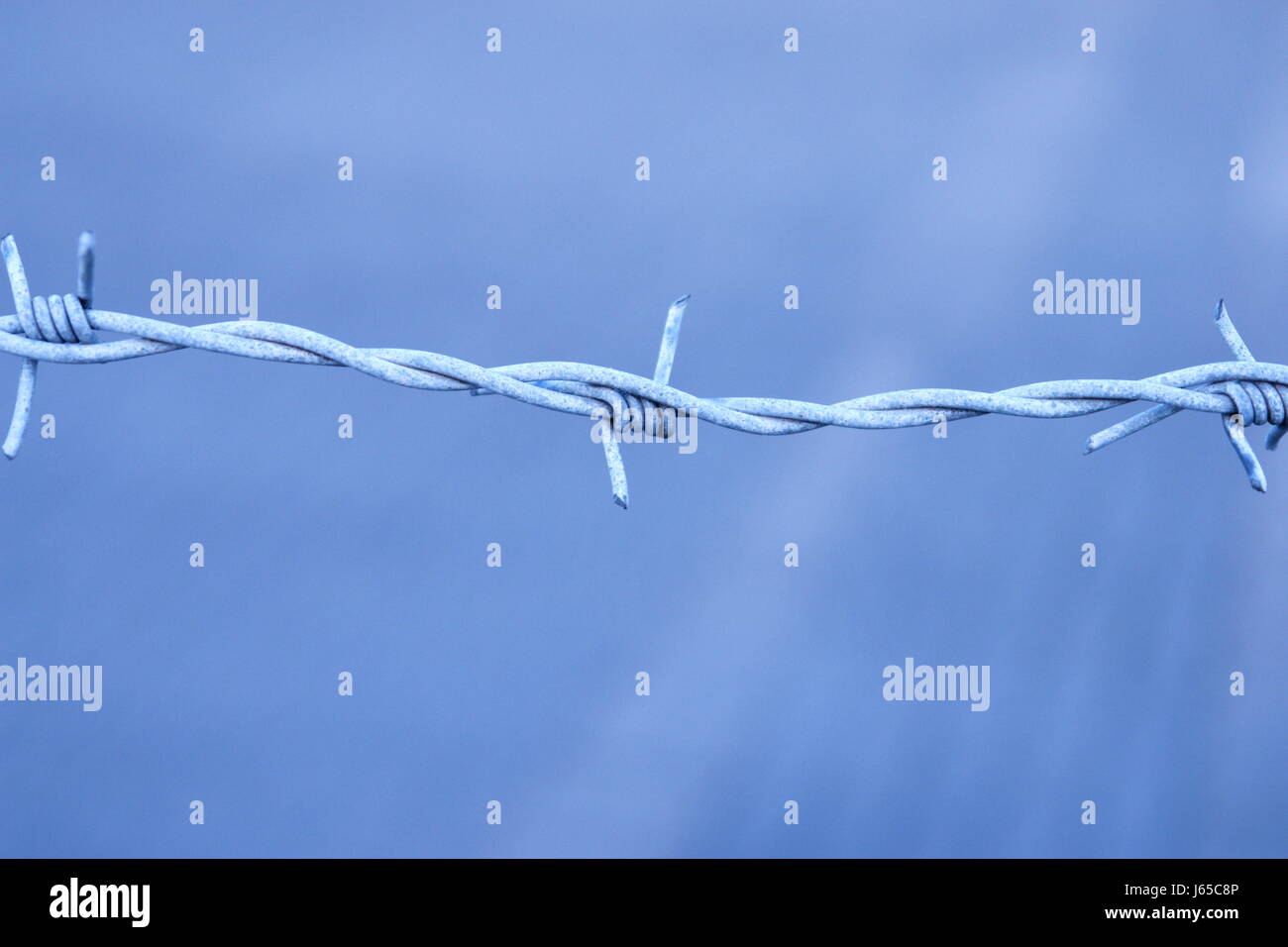 pointed fence sting barbed wire barbedwire fence safeguarding fence