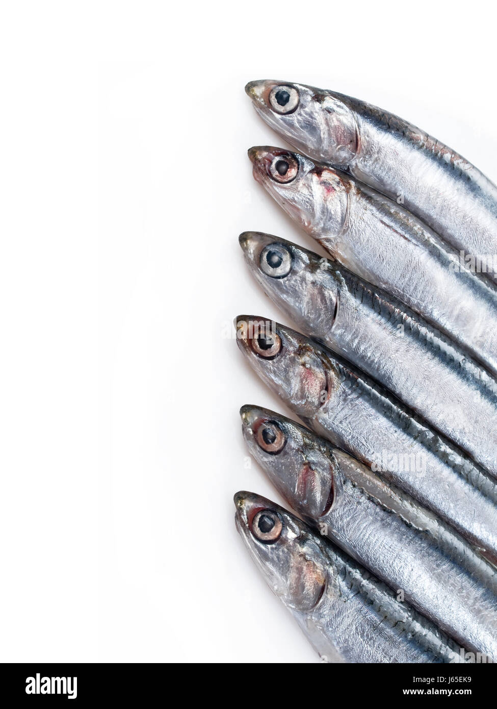 Sardine eyes hires stock photography and images Alamy
