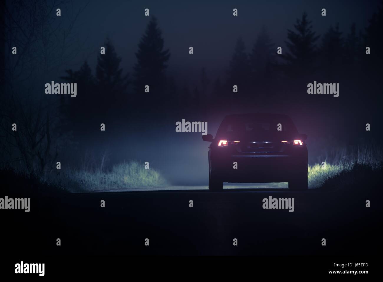 Dense Fog Countryside Car Drive. Driving Vehicle in Dangerous Foggy