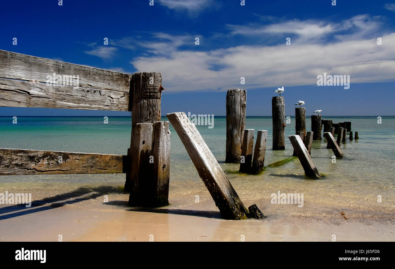 Wood defect hires stock photography and images Alamy