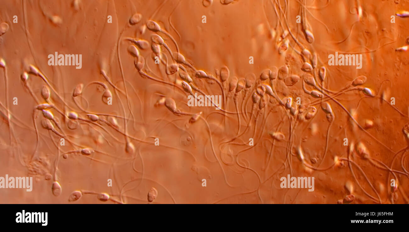 Alla Yuganova erotik videoda Porno meni kondirdi