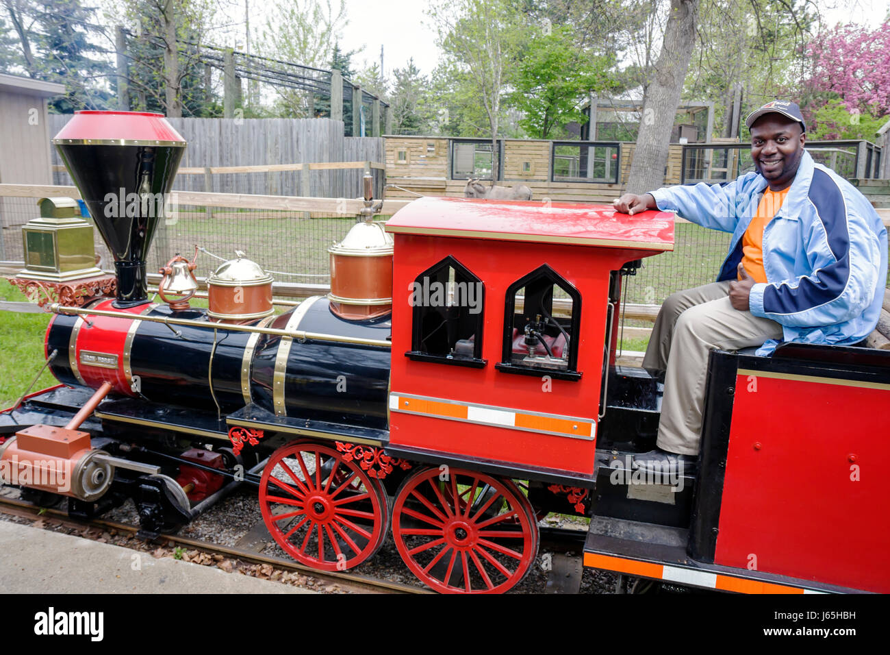 Michigan Saginaw,Children's Zoo at Celebration Square,miniature train,amusement park,locomotive,red,Black man men male,conductor,ride,children's ride, Stock Photo