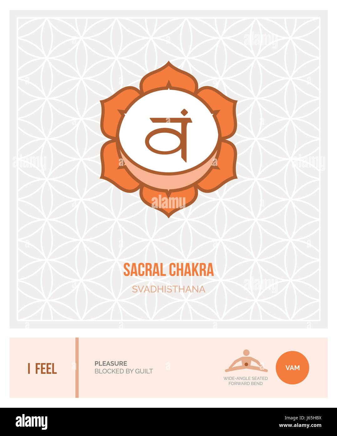 sacral chakra svadhisthana chakras energy healing and yoga poses infographic J65HBX