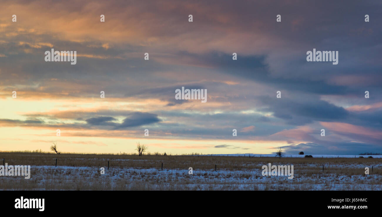 Cremona alberta hires stock photography and images Alamy