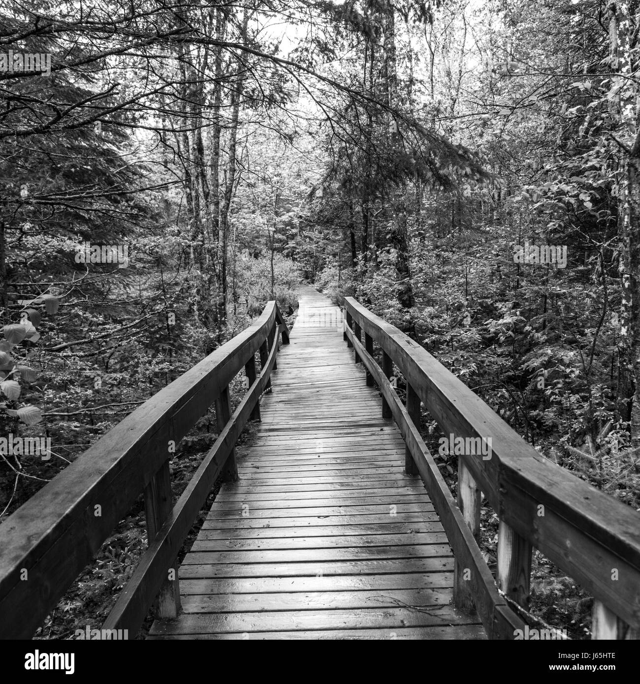 New brunswick canada Black and White Stock Photos & Images Alamy