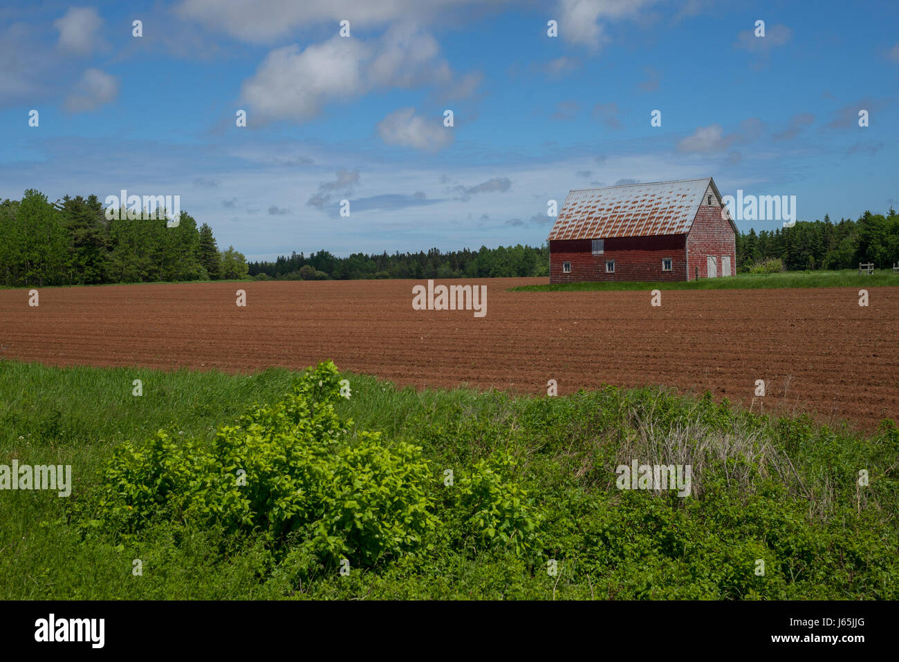 Barn At Farm Kensington Prince Edward Island Canada Stock Photo