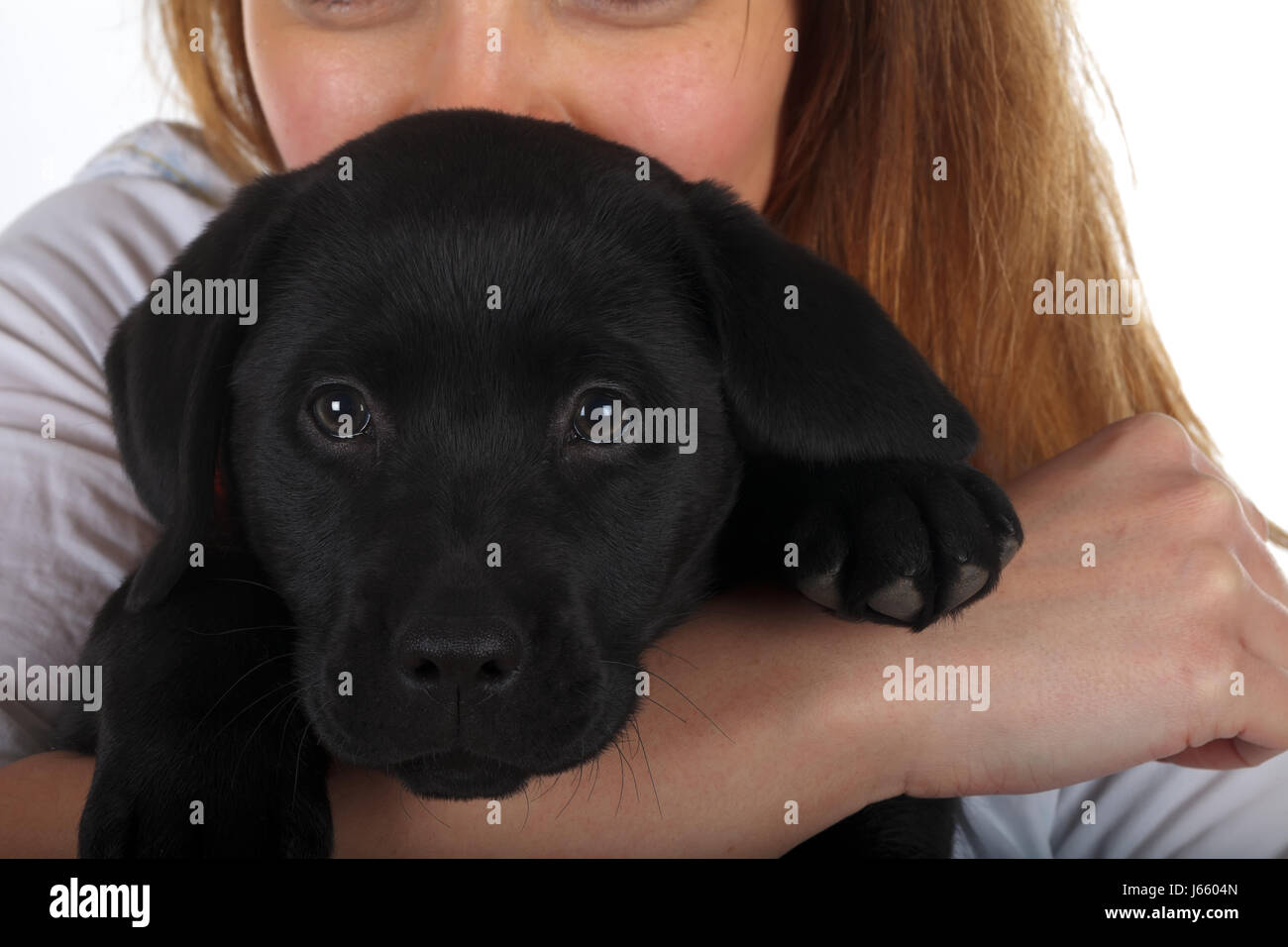 Picture of a woman with her black labrador puppy Stock Photo - Alamy