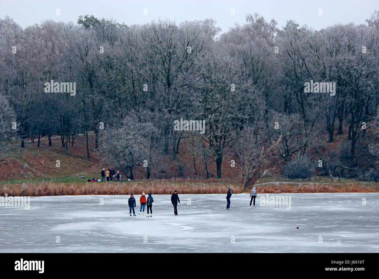 People skate on a frozen lake near the forest in the winter Stock Photo ...