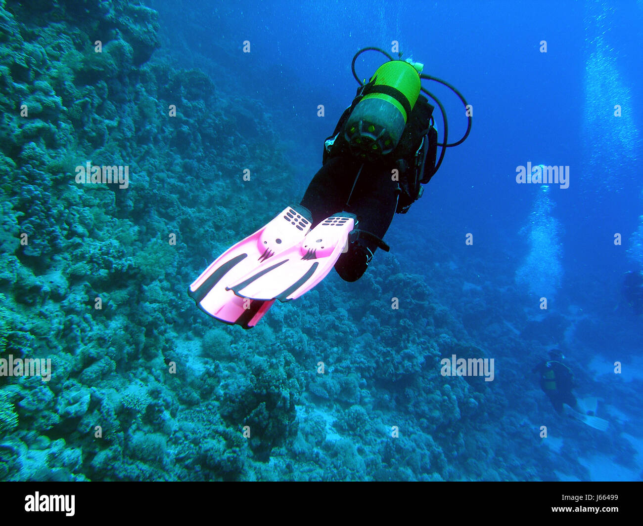 asia float dive salt water sea ocean water diver levitation corals ...