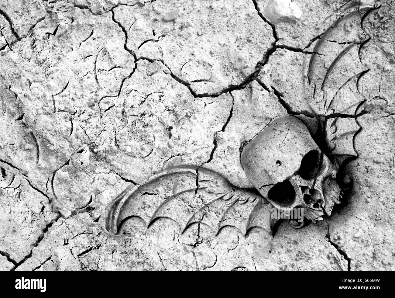 ground soil earth humus grave skull drought dry dried up barren crack fissured Stock Photo