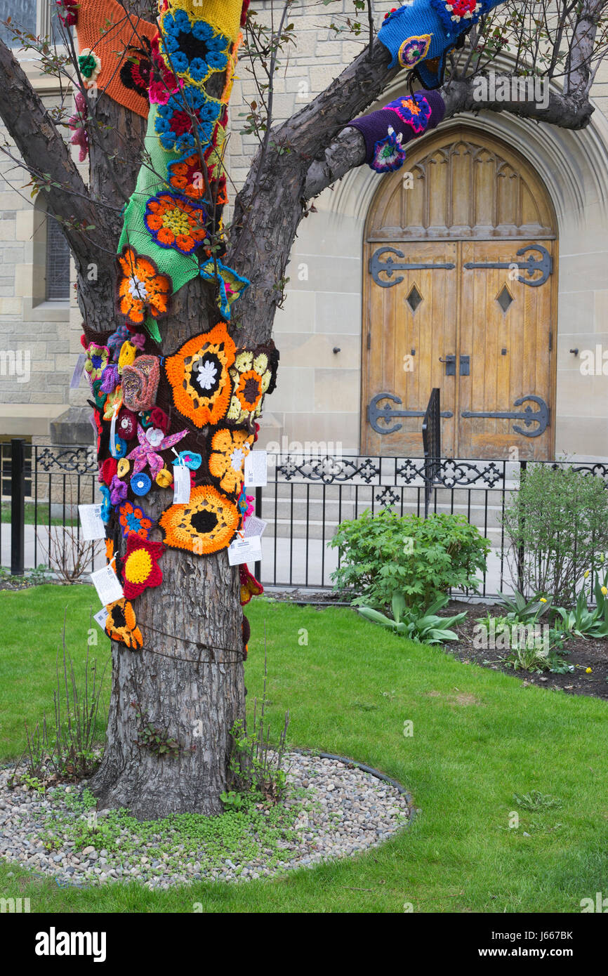 Tree in Knox United Church garden was yarn bombed by Ujamaa Grandmas for the Grandmothers to Grandmothers campaign of the Stephen Lewis Foundation Stock Photo