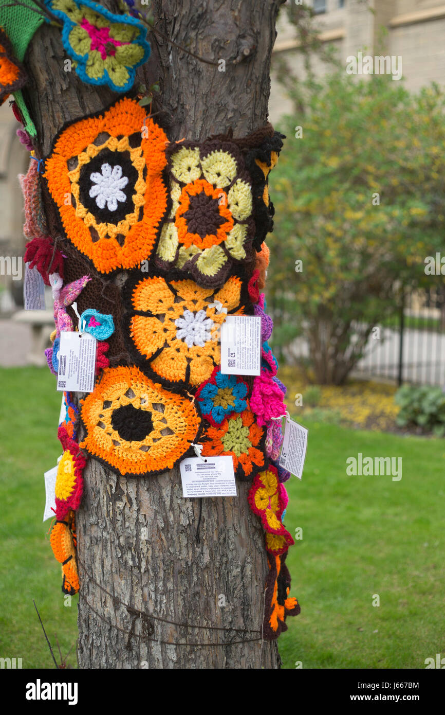 Tree in Knox United Church garden was yarn bombed by Ujamaa Grandmas for the Grandmothers to Grandmothers campaign of the Stephen Lewis Foundation Stock Photo