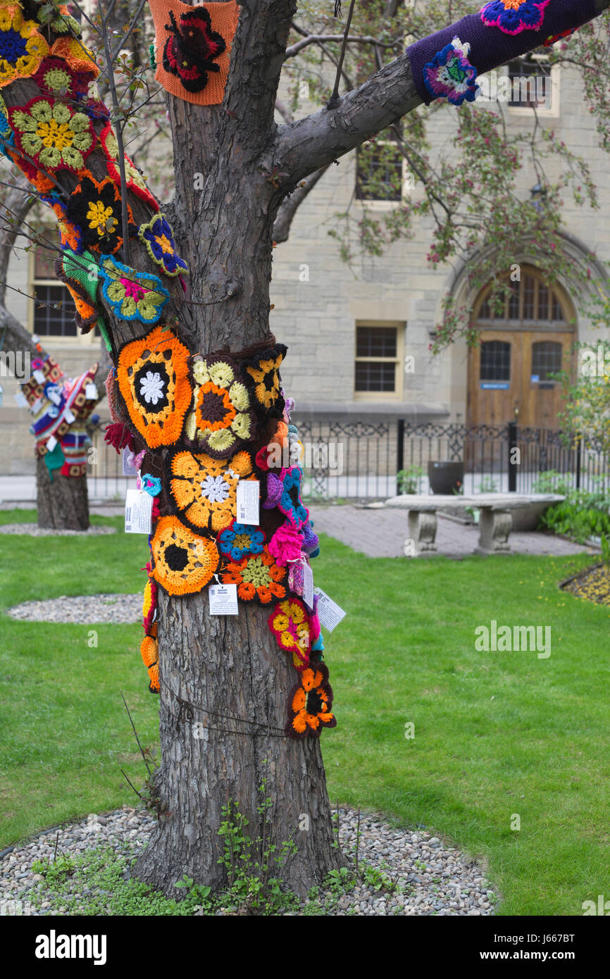 Trees in Knox United Church garden were yarn bombed by Ujamaa Grandmas for the Grandmothers to Grandmothers campaign of the Stephen Lewis Foundation Stock Photo