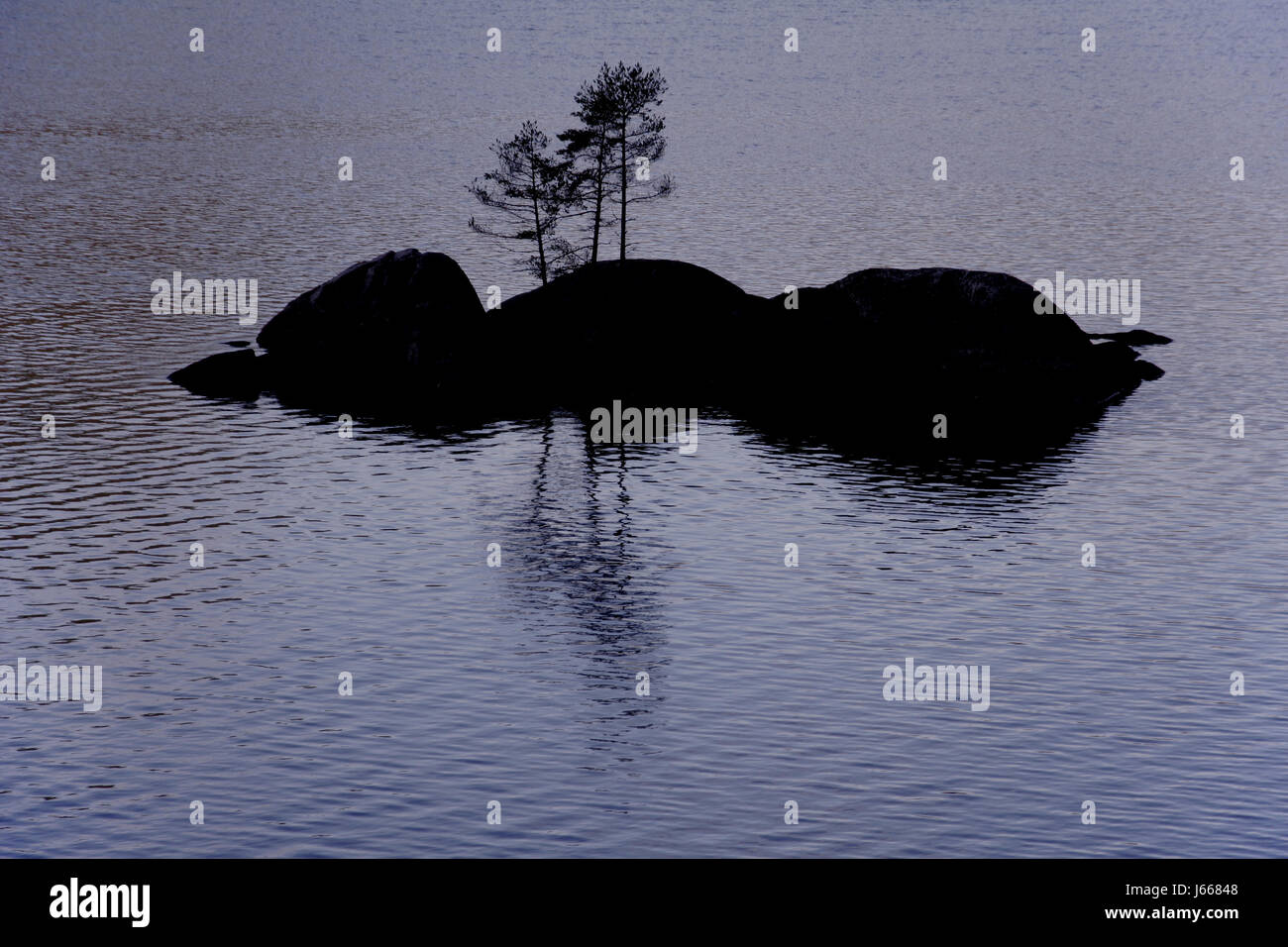 tree trees rock salt water sea ocean water isle island blue tree trees ...