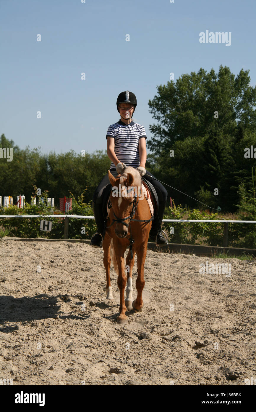 ride horse halter riding rider equestrian browner horseriding sport