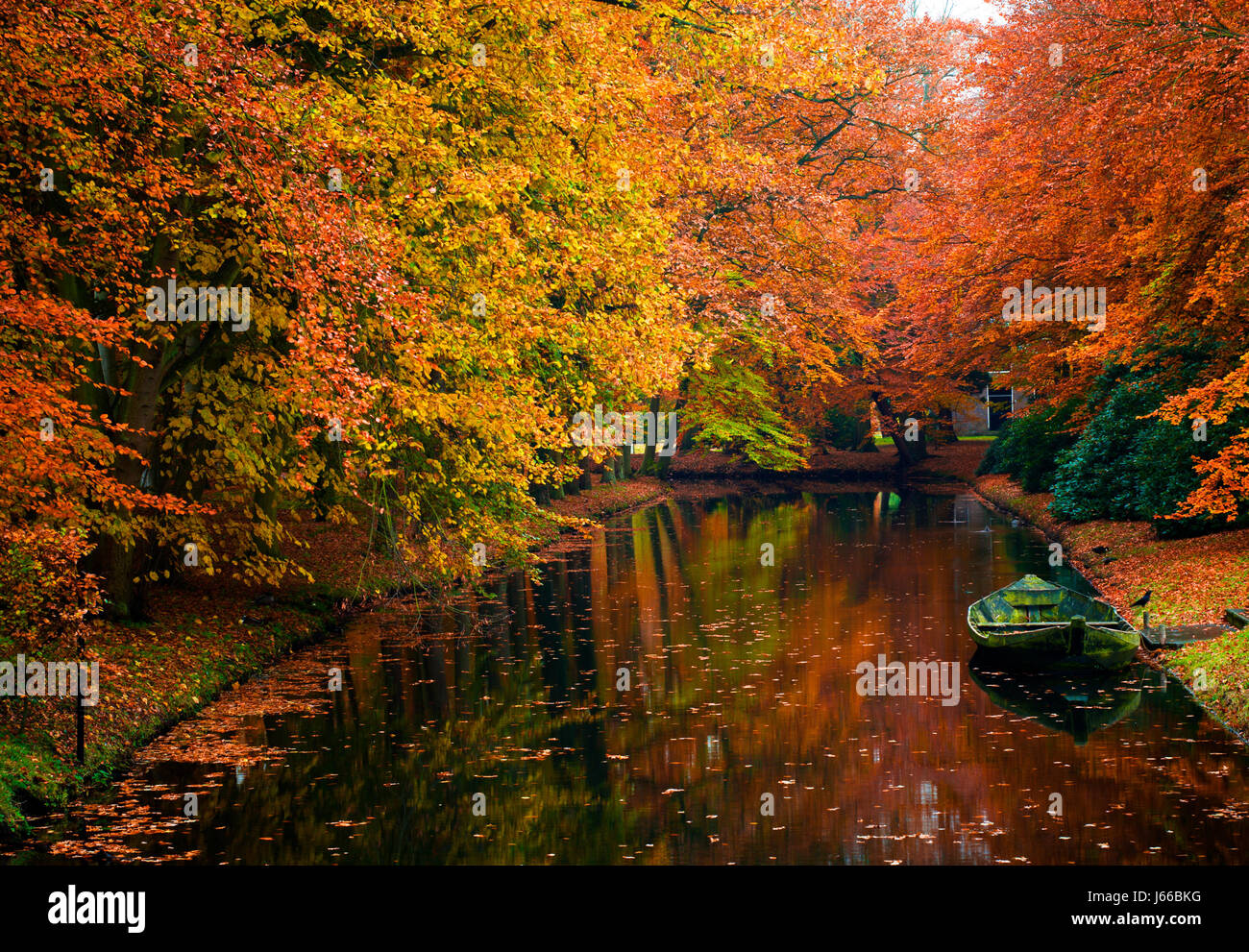 tree trees park boat fresh water lake inland water water landscape scenery Stock Photo