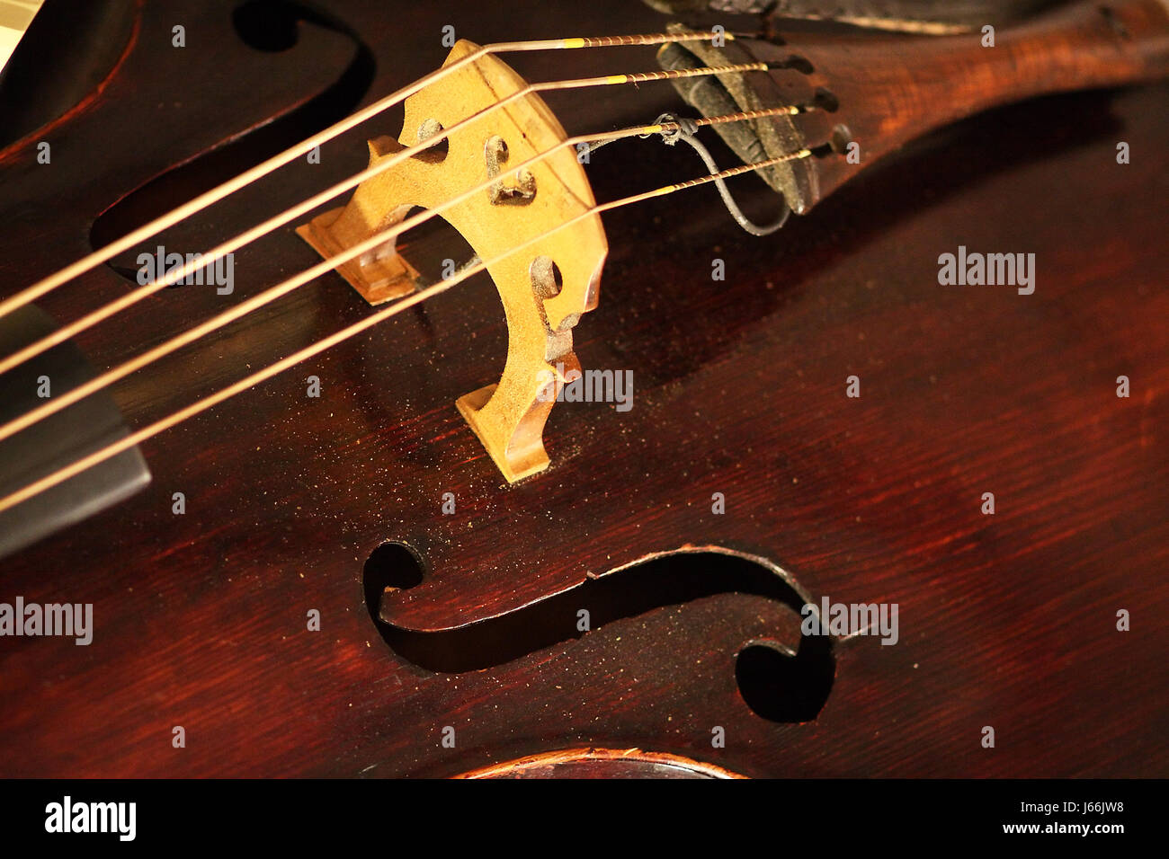 musical instrument classical string cello measure instrument method ...