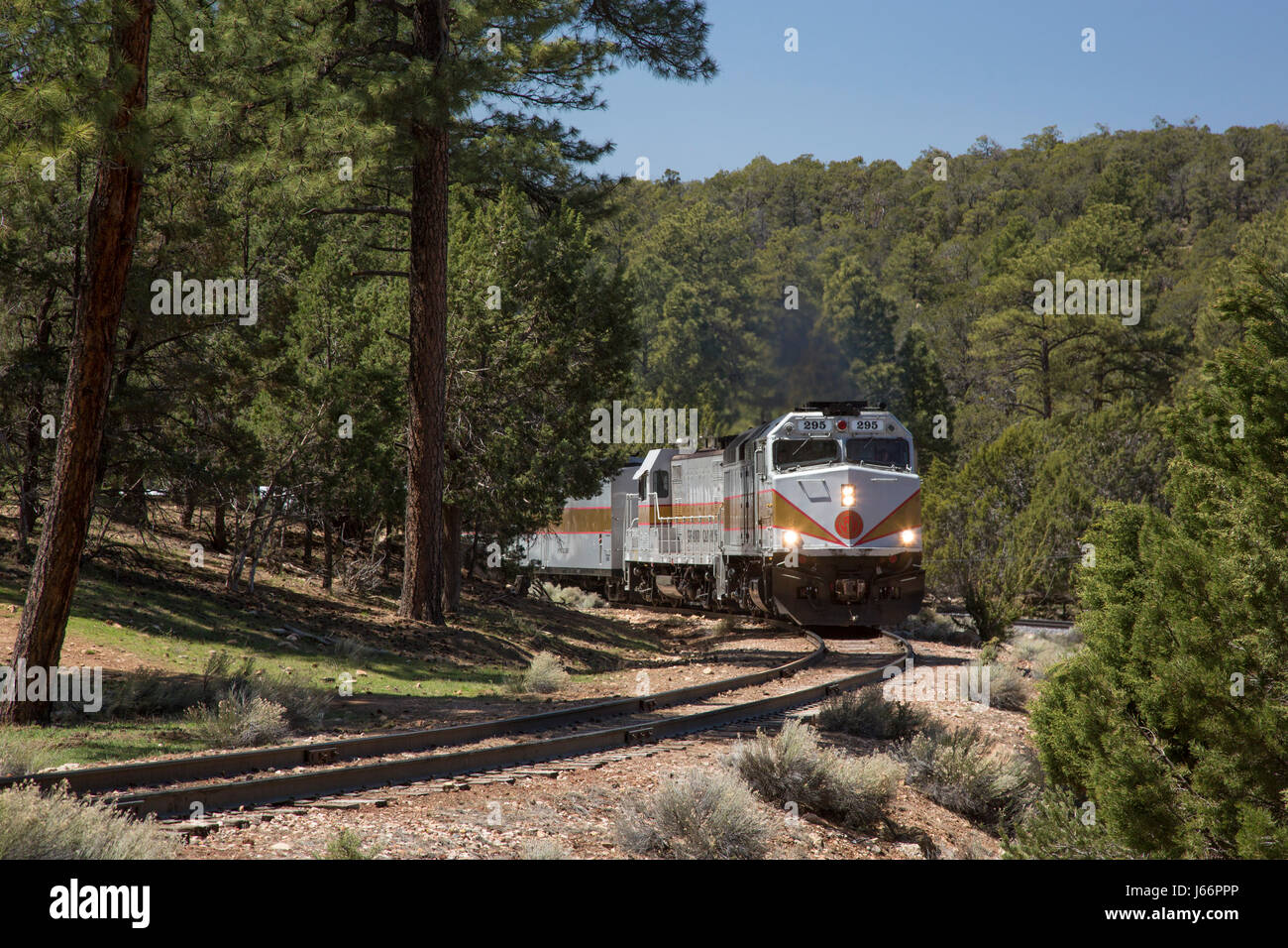 Grand Canyon National Park, Arizona - The Grand Canyon Railway arrives at the south rim of the Grand Canyon, bringing tourists from Williams, Arizona. Stock Photo