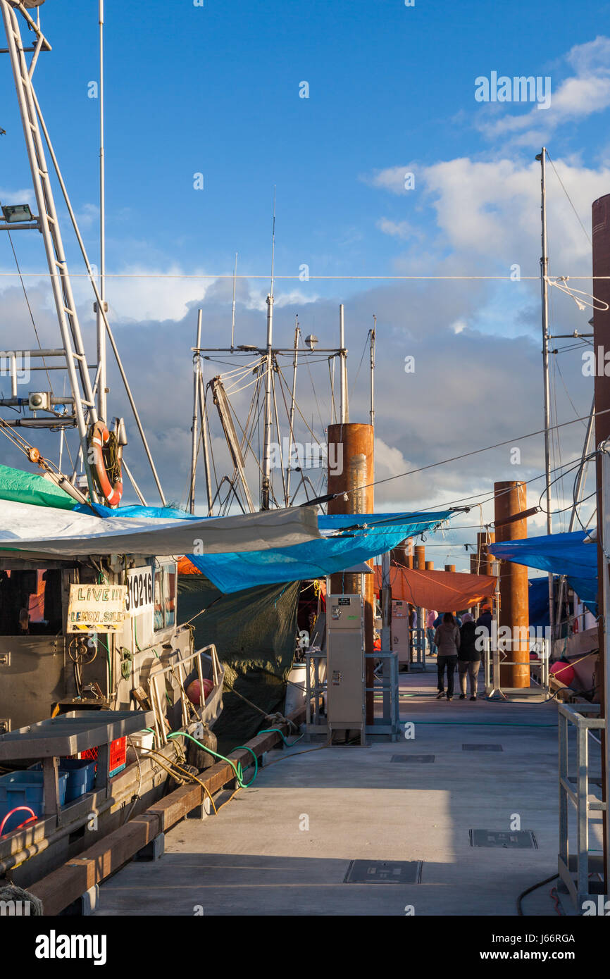 Commercial fishing boats tied up a floating pontoon to sell their fish direct to the public Stock Photo