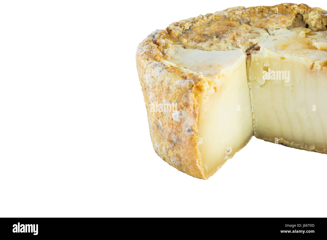 The form of hard cheese of a bloomy rind goat's milk, frost crust ...