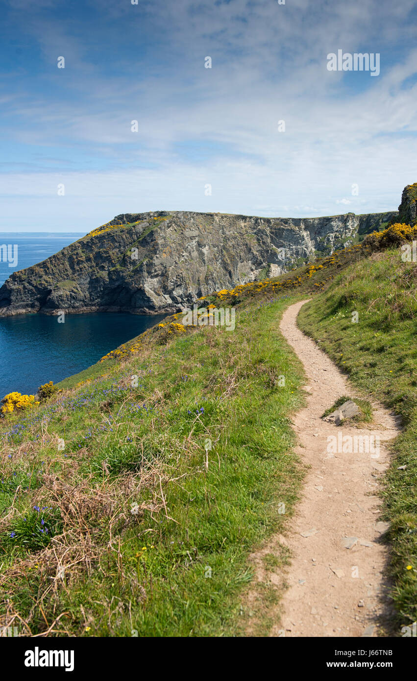 The South West Coast Path near Boscastle in Cornwall, England, UK Stock Photo