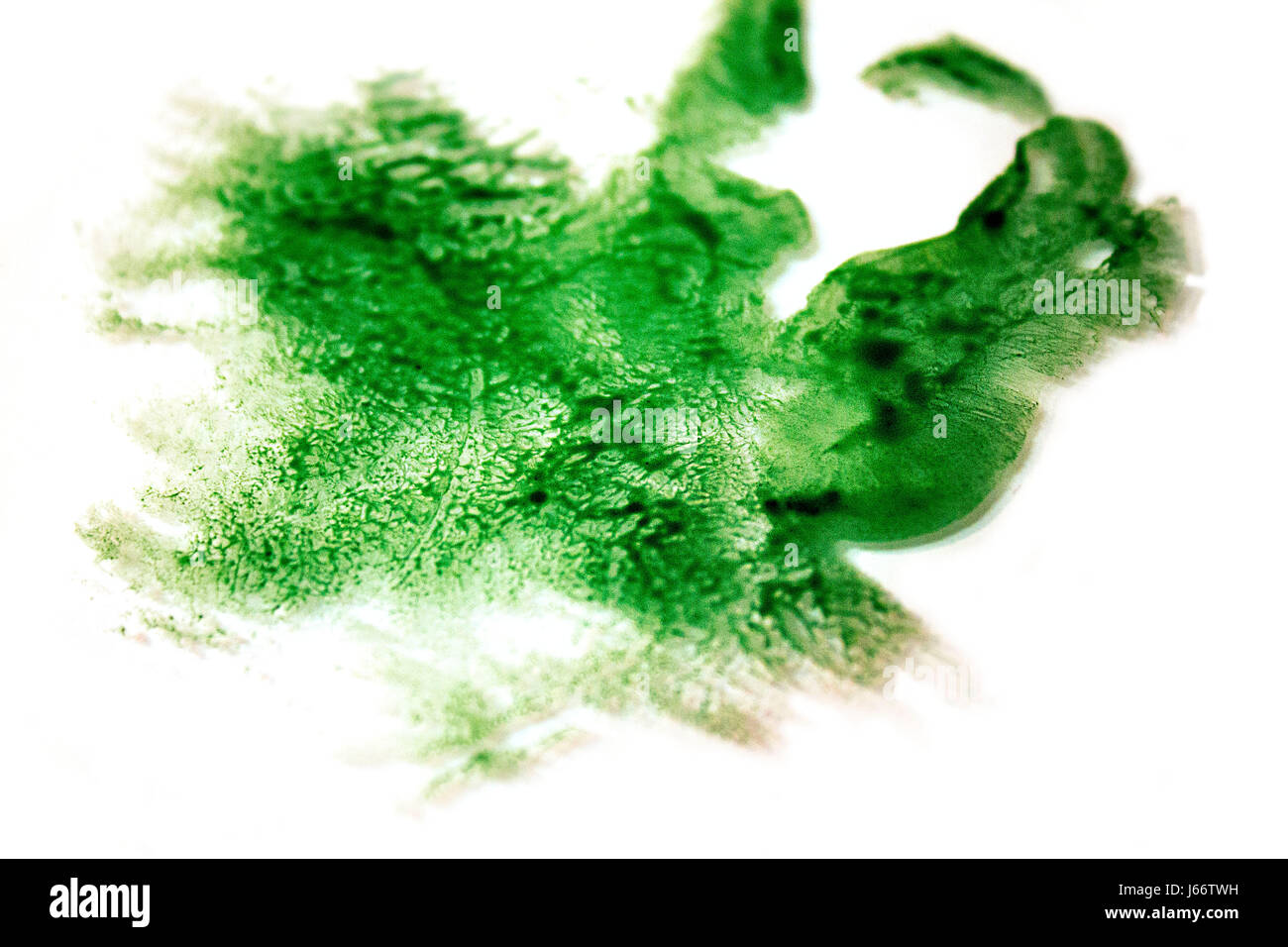 An abstract print of a human ear onto glass using natural green watercolour paints. Stock Photo