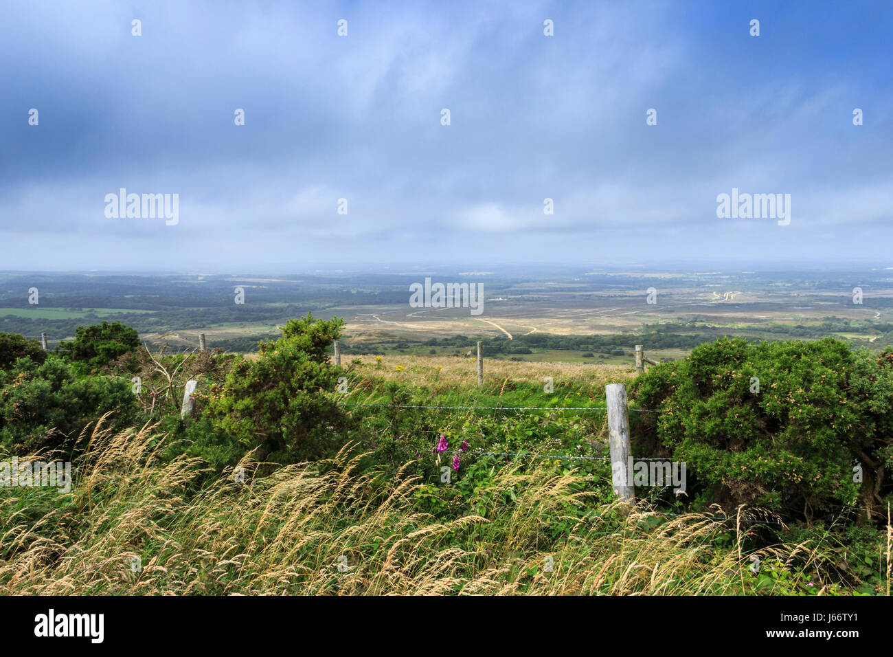 View inland from the South West coast path, Dorset, UK, across heathland and the army firing ranges Stock Photo