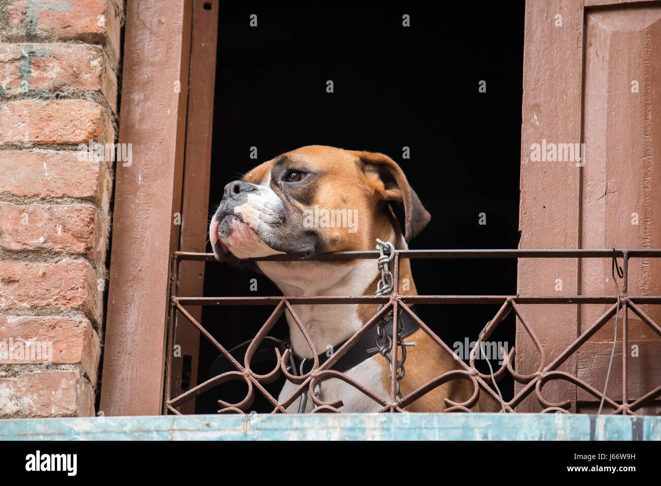 Lazy leaning hires stock photography and images Alamy