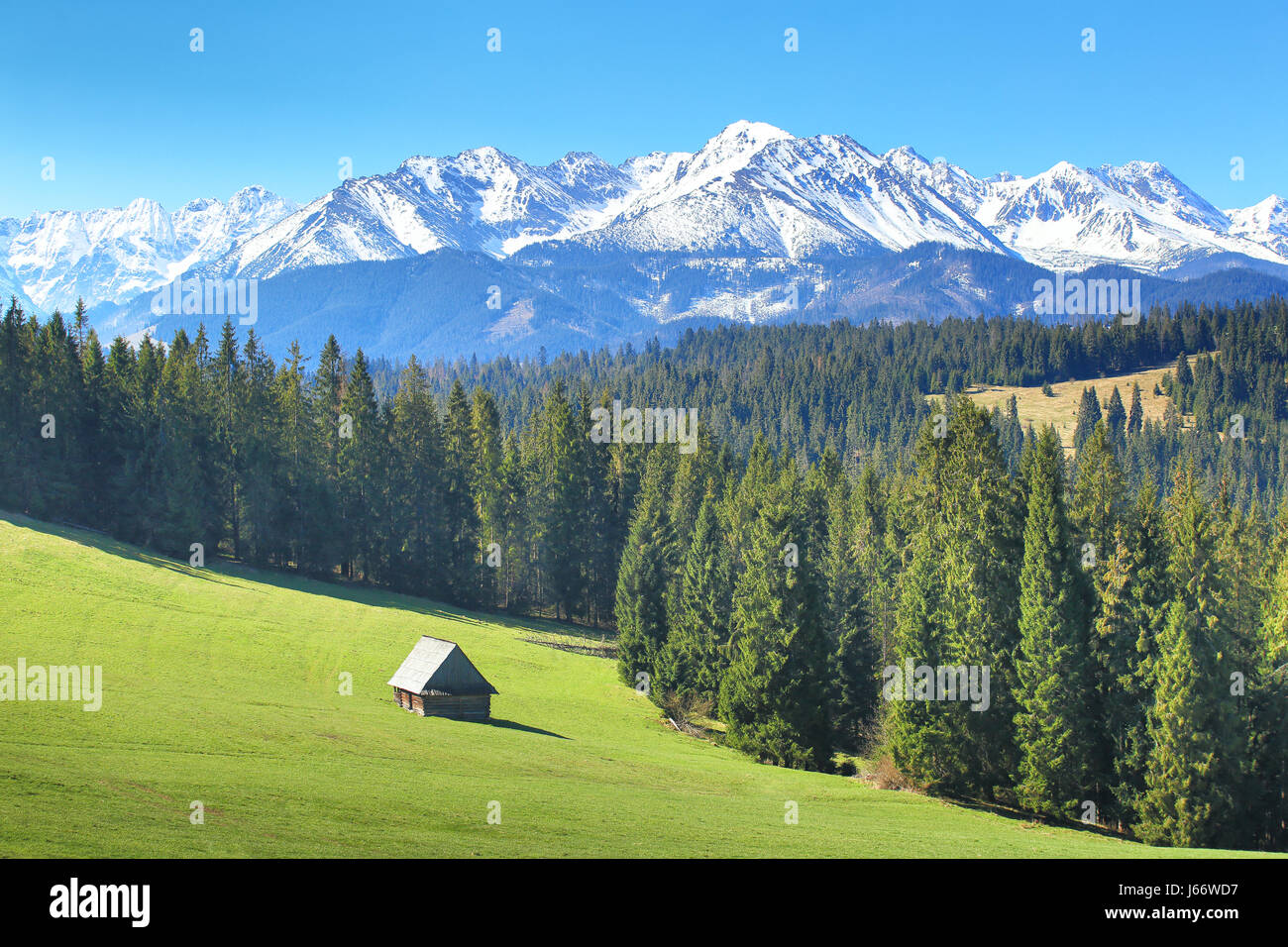 Sunny day in picturesque valley. Blue sky over white snowy mountain peaks. Green valley at Alpine foothill. Picturesque summer background. Stock Photo