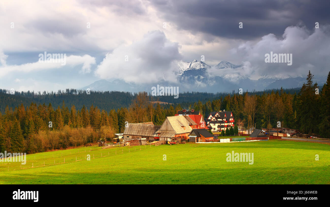 Small Alpine village in green valley at the sunset. Sun shines at houses on snowy mountain background. Panoramic rural Alpine landscape. Stock Photo