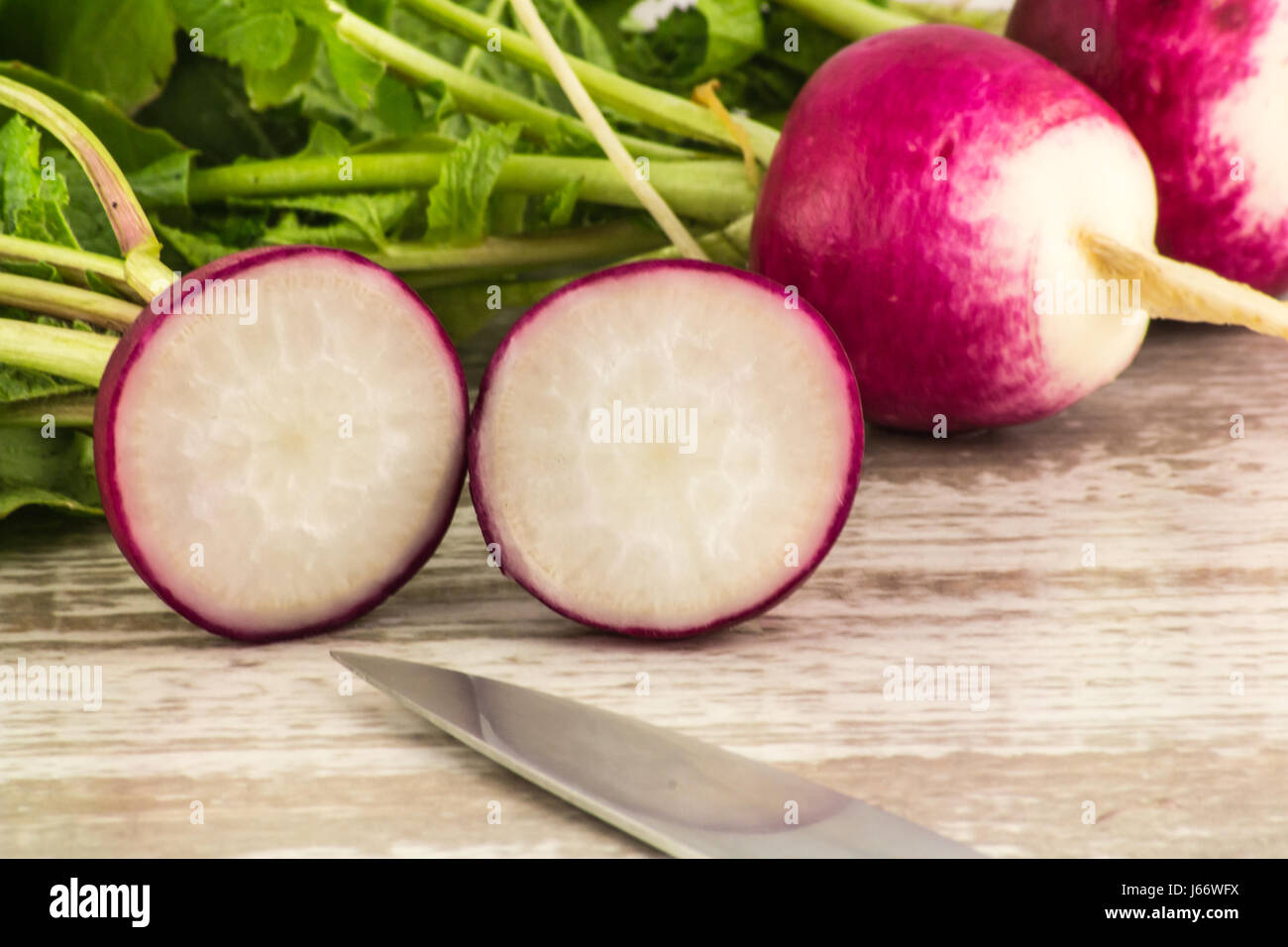 832 Radish Knife Stock Photos, High-Res Pictures, and Images