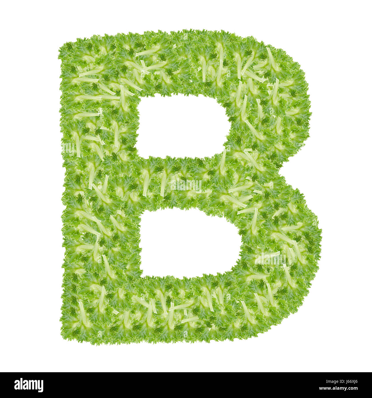 Letter B, green leaves summer vector alphabet. The simple logo of letter B  green color. Isolated illustration on white background Stock Vector Image &  Art - Alamy