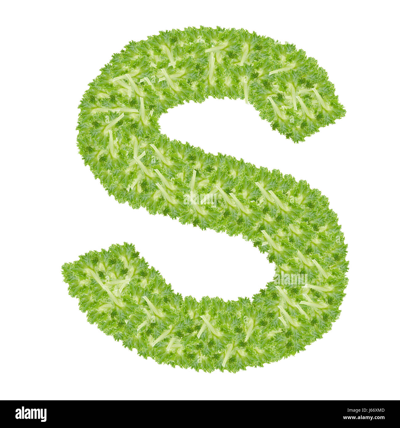 Letter S alphabet with hydroponics leaf ABC concept type as logo isolated  on white background Stock Photo - Alamy