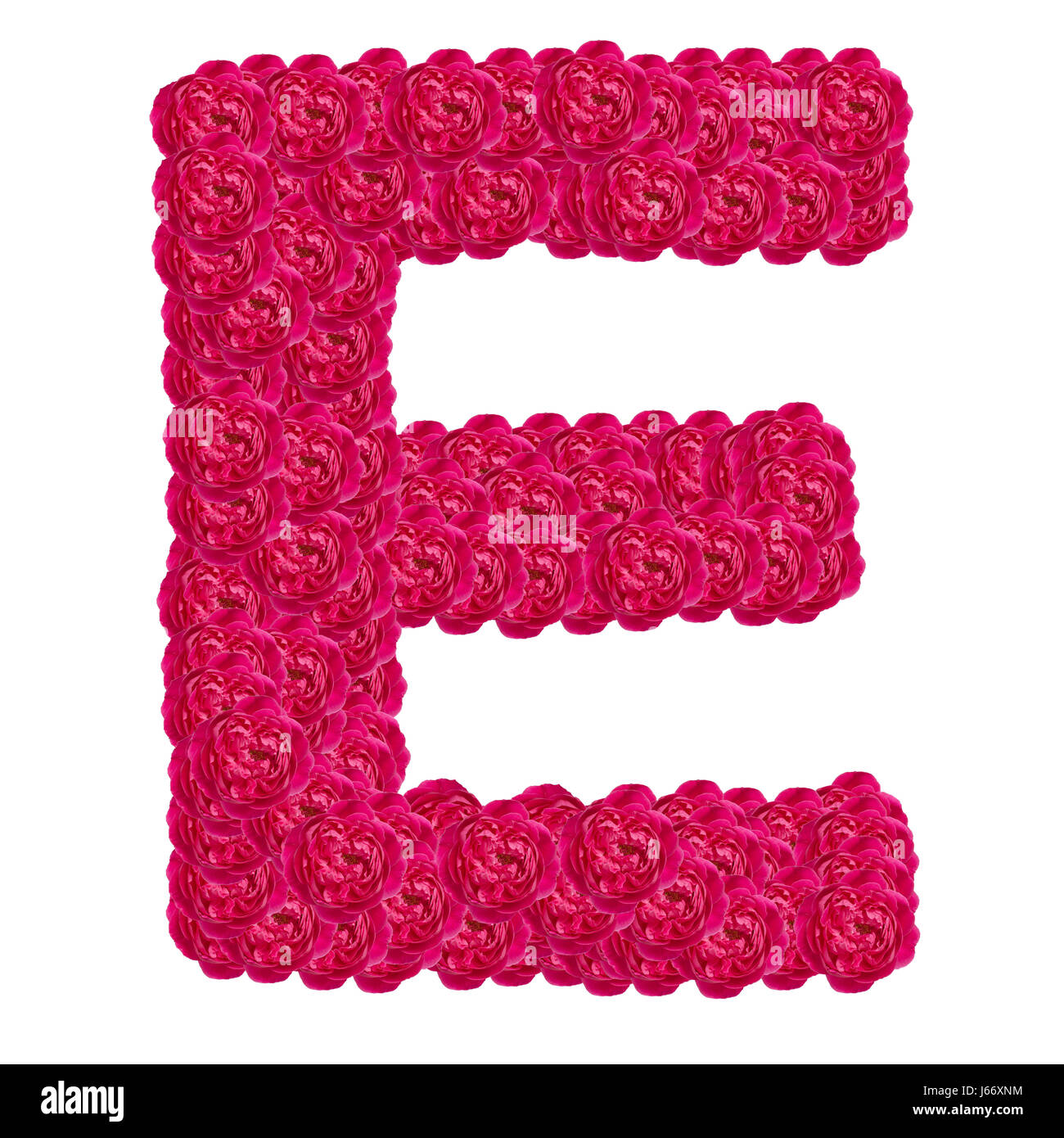Letter E alphabet with damask rose ABC concept type as logo isolated on