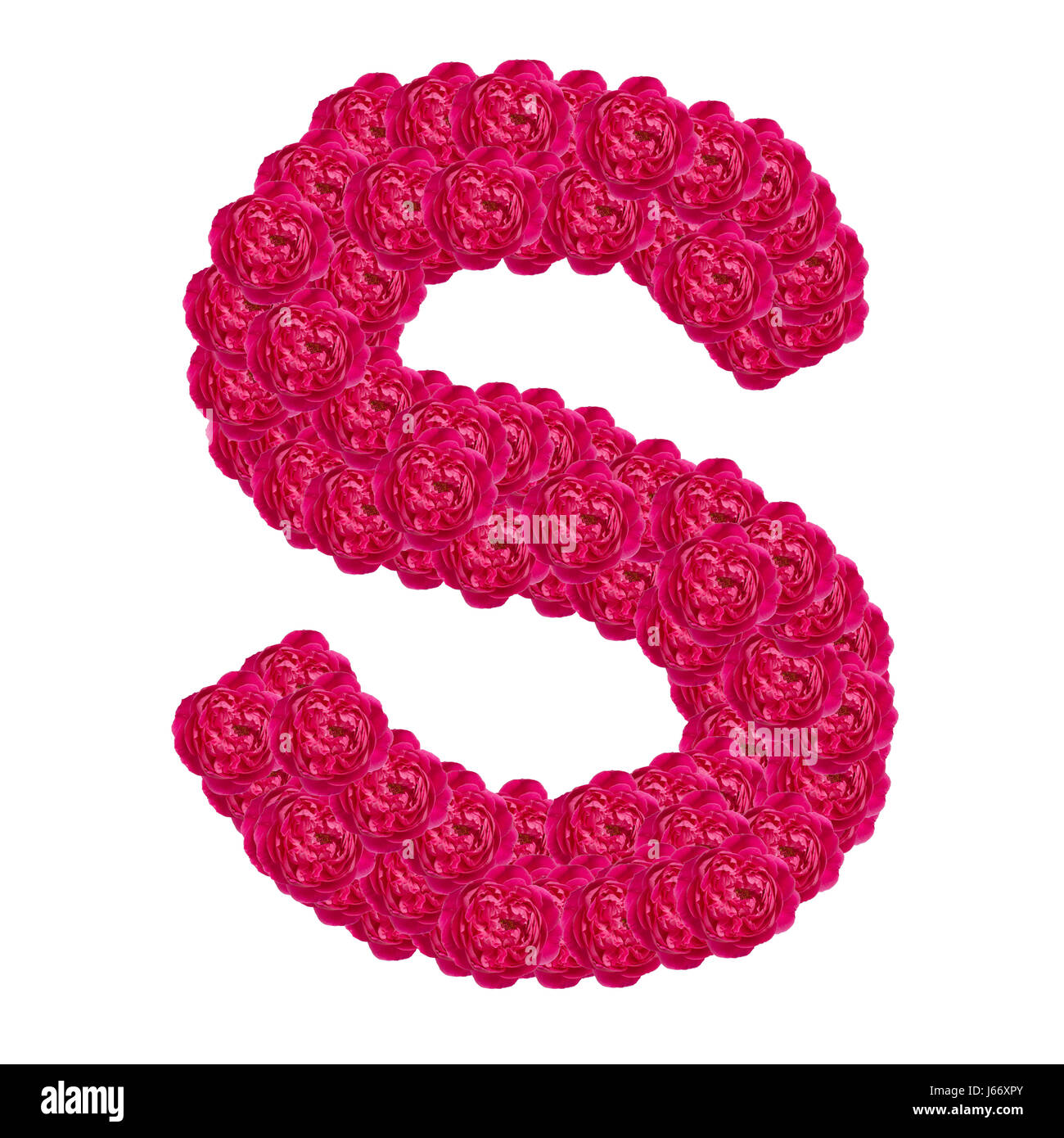 Letter S alphabet with damask rose ABC concept type as logo ...