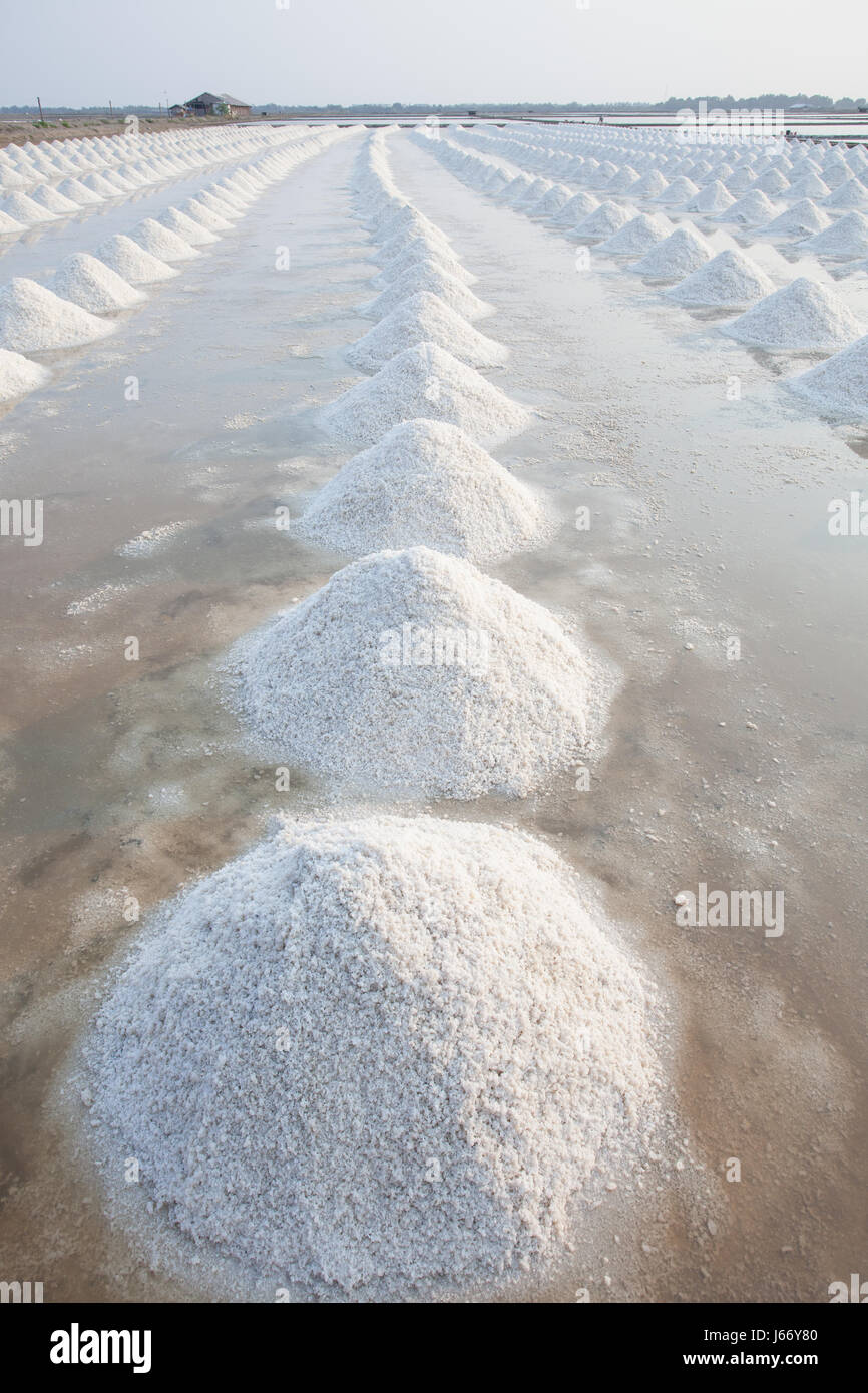 vertical form of Heap of sea salt in original salt produce farm make