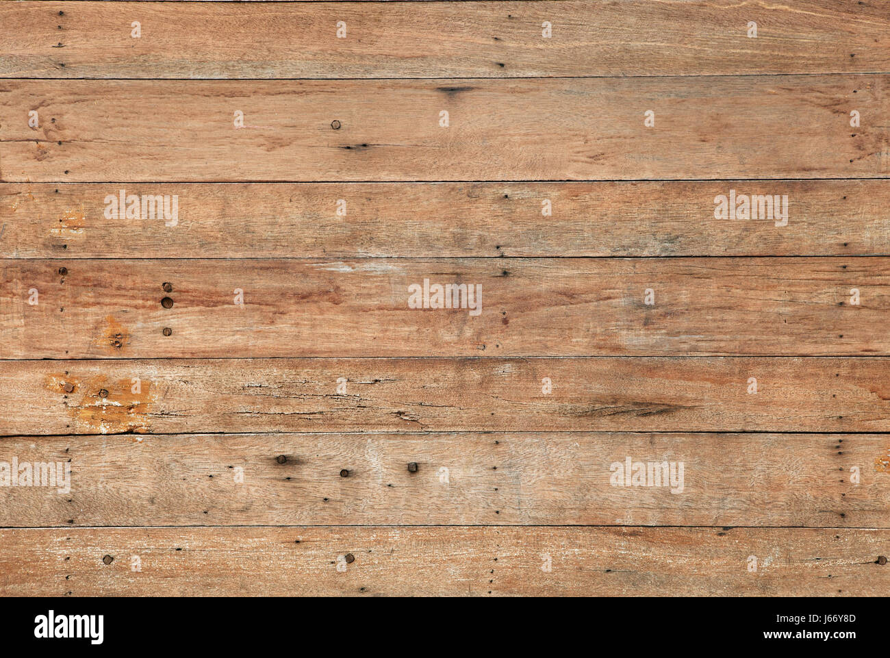 pattern arrangement of bark wood as floor ,background ,backdrop ,wall