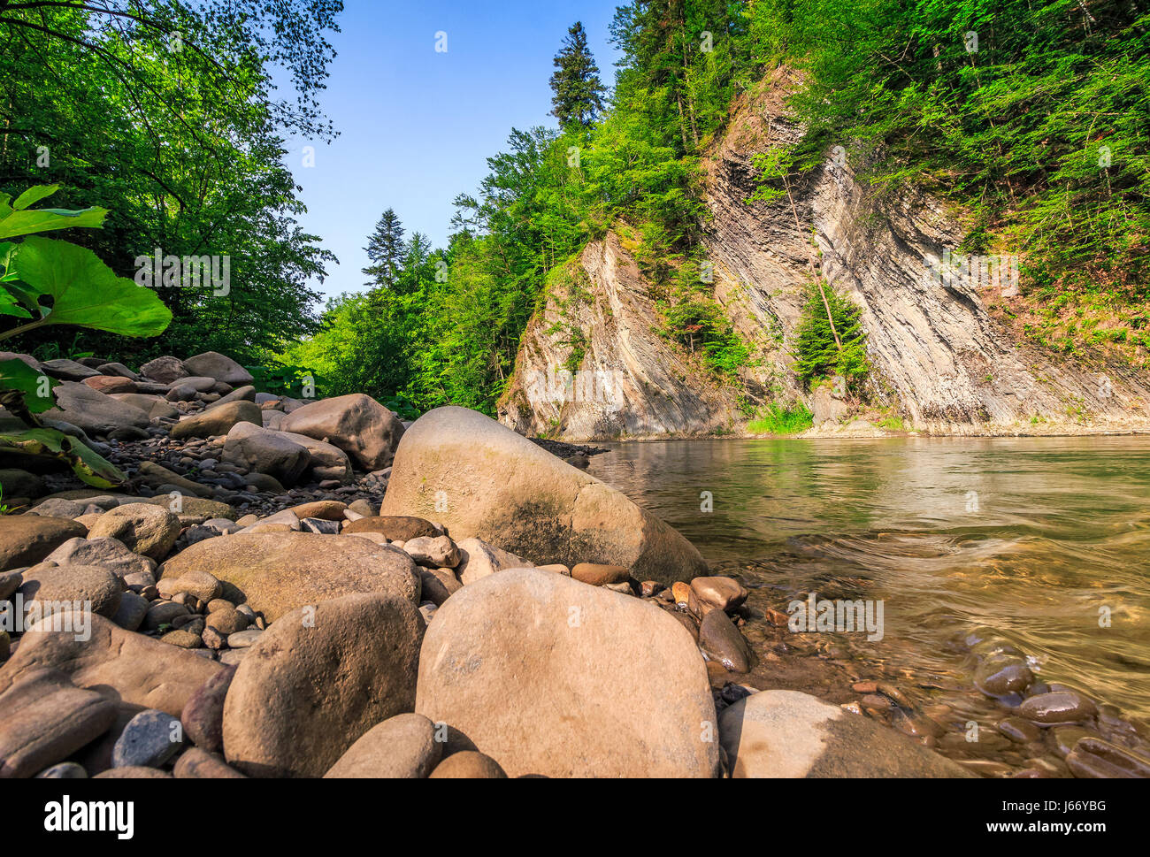 landscape with trees on a cliff nearthe shore of a clear river. fine summer weather with blue sky Stock Photo