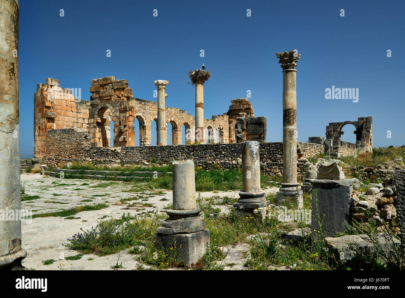 Basilica of Volubilis, Roman excavation in Morocco, Africa Stock Photo