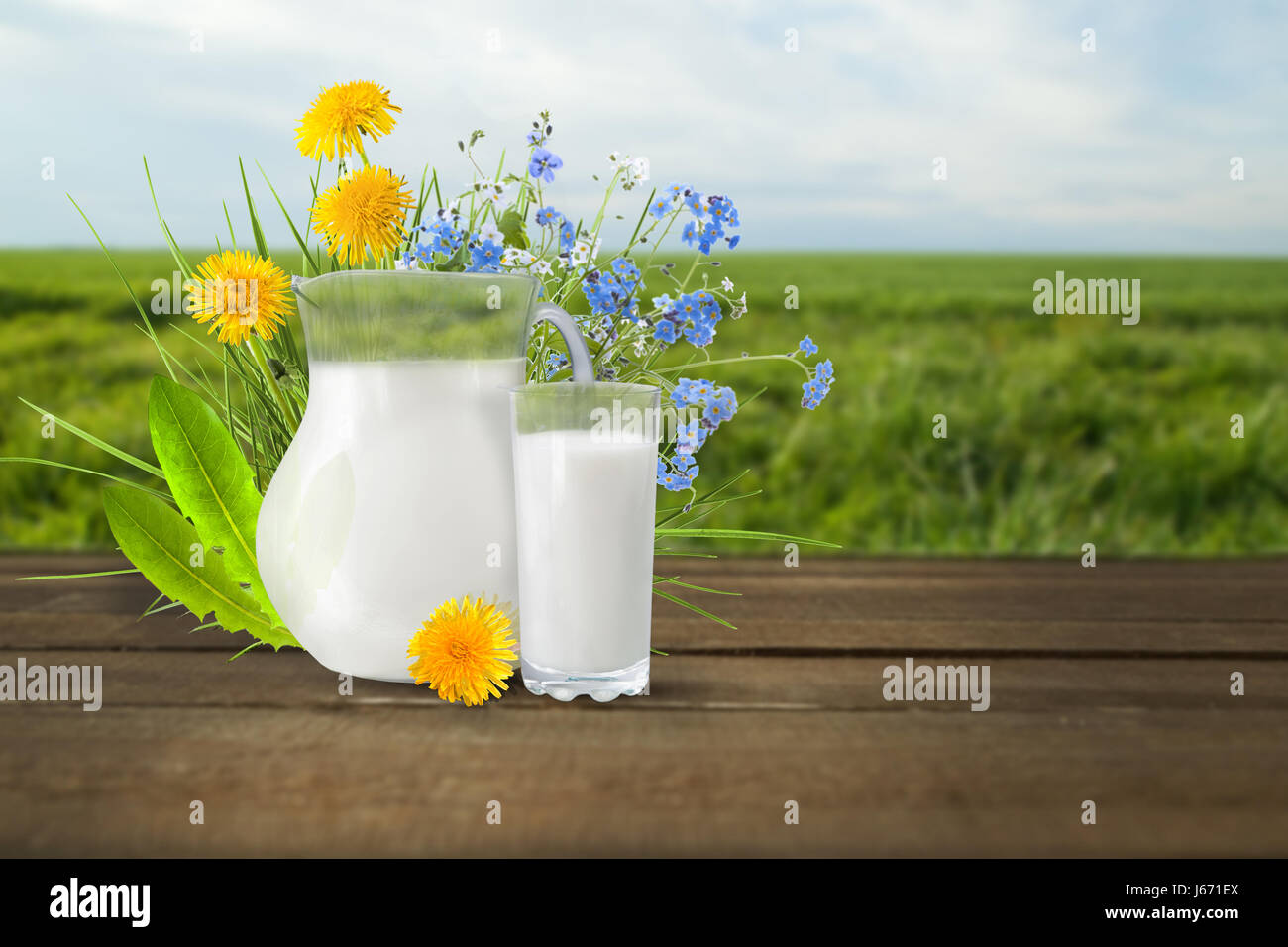 Spring Flush Milk Milk and sunny spring field Stock Photo - Alamy
